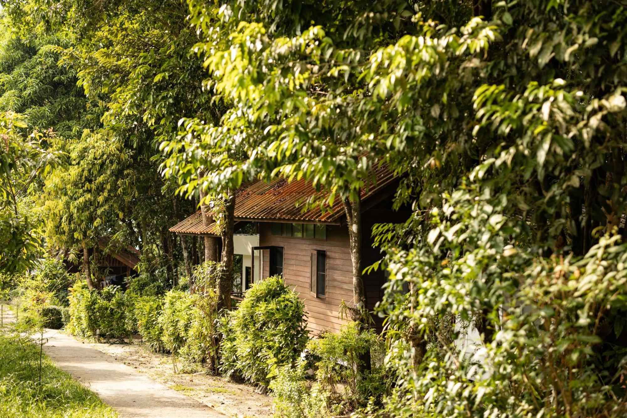 Barefoot Project Formerly Baan Klong Kleng Hotel Koh Phayam Buitenkant foto